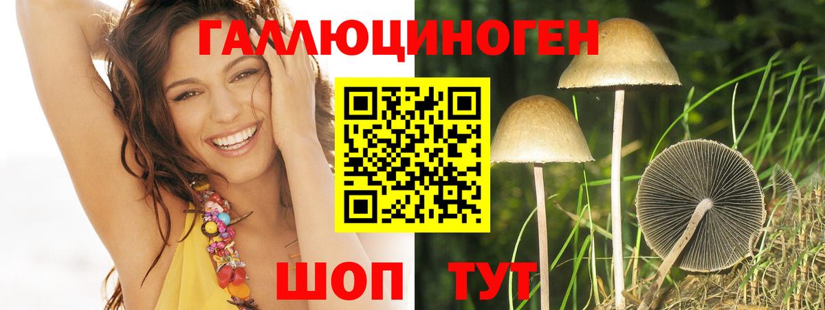 Псилоцибиновые грибы GOLDEN TEACHER Моршанск
